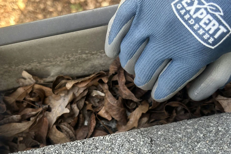 Gutter Cleaning East Windsor